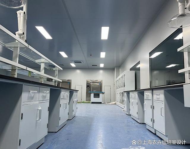 山東淄博甘薯組培室設(shè)備全套 打造現(xiàn)代農(nóng)業(yè)實(shí)驗(yàn)室成套解決方案